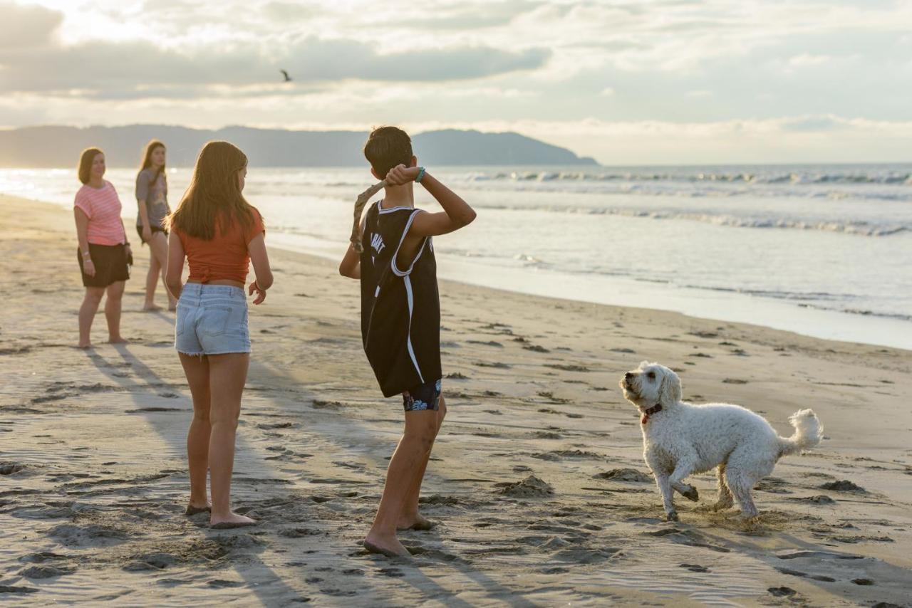 Ohope Beach Top 10 Holiday Park 외부 사진